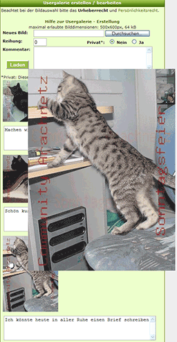 Galeriebilder hochladen / bearbeiten