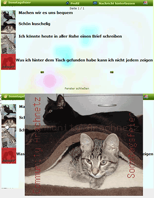 Galeriebilder hochladen / bearbeiten